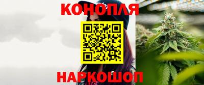 стаф Нальчик