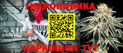 стаф Нальчик